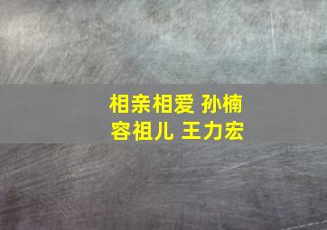 相亲相爱 孙楠 容祖儿 王力宏